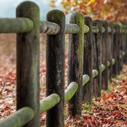 Dolorem enim et quos aut est.