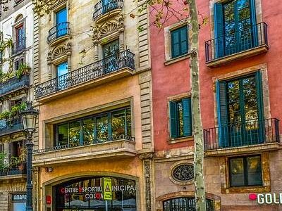 📜 Ciekawostka: Krótka Historia Lorem Ipsum