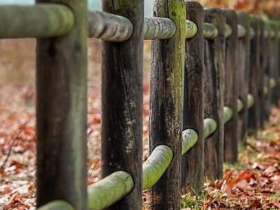 Labore quasi porro culpa soluta.