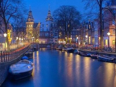 📊 Ciekawostka: Rozbudowana Infografika o Lorem Ipsum